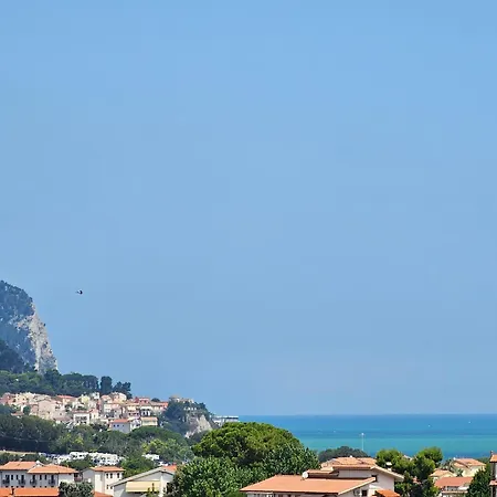 Voglia D'amare Numana