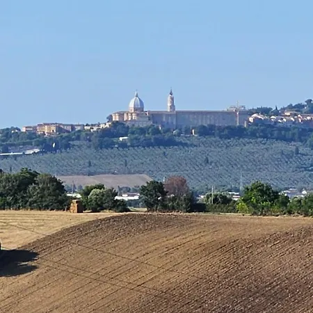 Voglia D'amare Numana